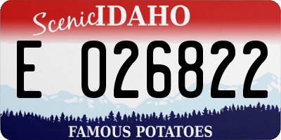 ID license plate E026822