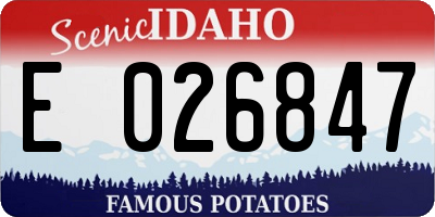 ID license plate E026847
