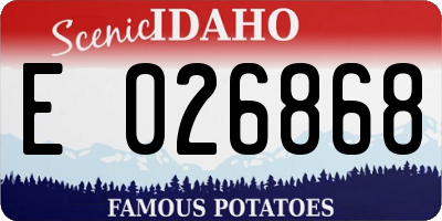 ID license plate E026868