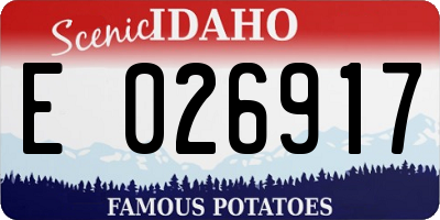 ID license plate E026917