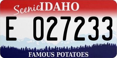 ID license plate E027233