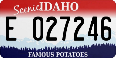 ID license plate E027246