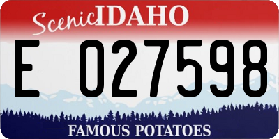 ID license plate E027598