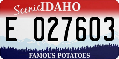 ID license plate E027603