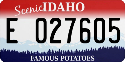 ID license plate E027605