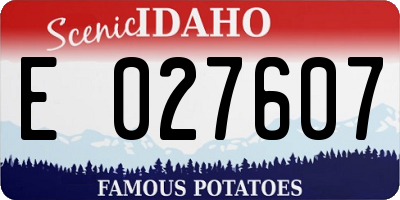 ID license plate E027607