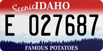 ID license plate E027687