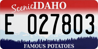 ID license plate E027803