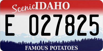ID license plate E027825