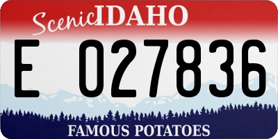 ID license plate E027836
