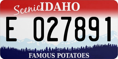 ID license plate E027891