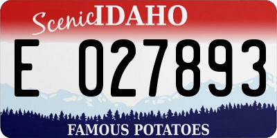 ID license plate E027893