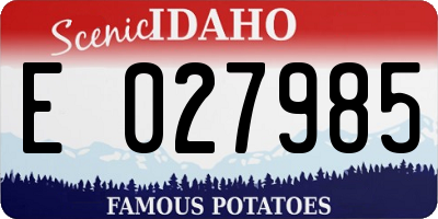 ID license plate E027985