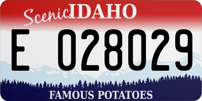 ID license plate E028029