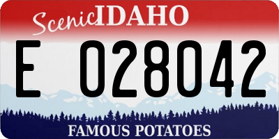 ID license plate E028042