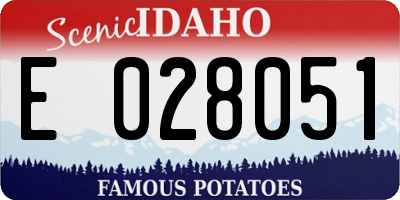 ID license plate E028051