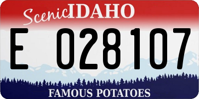 ID license plate E028107