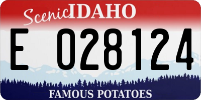 ID license plate E028124