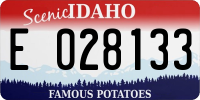 ID license plate E028133