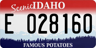 ID license plate E028160