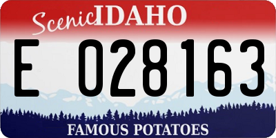 ID license plate E028163