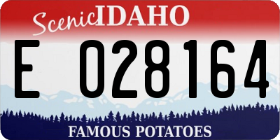 ID license plate E028164