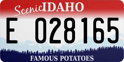 ID license plate E028165