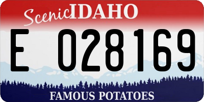 ID license plate E028169