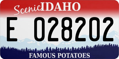 ID license plate E028202