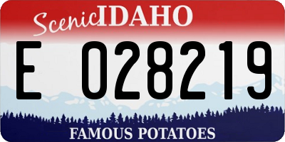 ID license plate E028219
