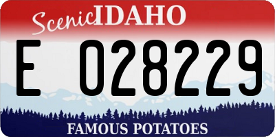 ID license plate E028229