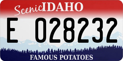 ID license plate E028232