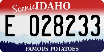 ID license plate E028233