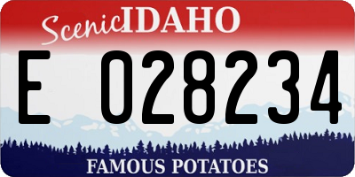 ID license plate E028234