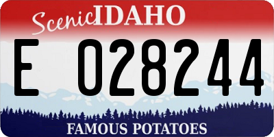 ID license plate E028244