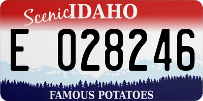 ID license plate E028246