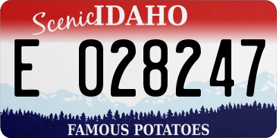 ID license plate E028247