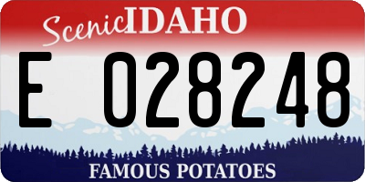 ID license plate E028248
