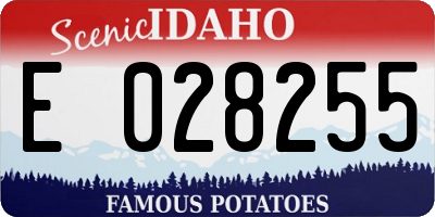 ID license plate E028255