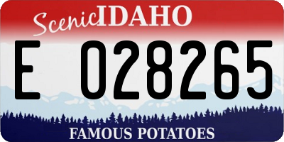 ID license plate E028265