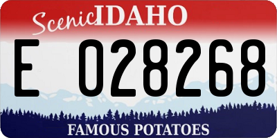 ID license plate E028268