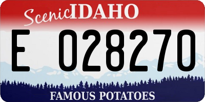 ID license plate E028270