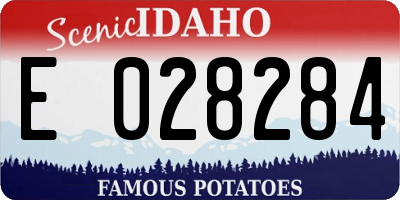 ID license plate E028284