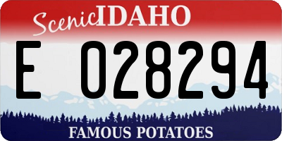 ID license plate E028294