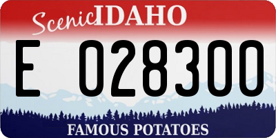 ID license plate E028300