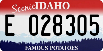 ID license plate E028305