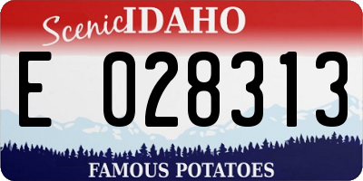 ID license plate E028313