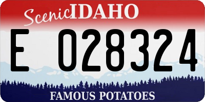 ID license plate E028324
