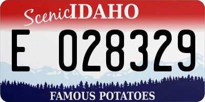 ID license plate E028329