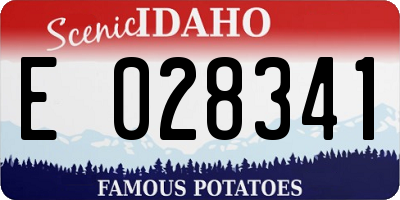 ID license plate E028341